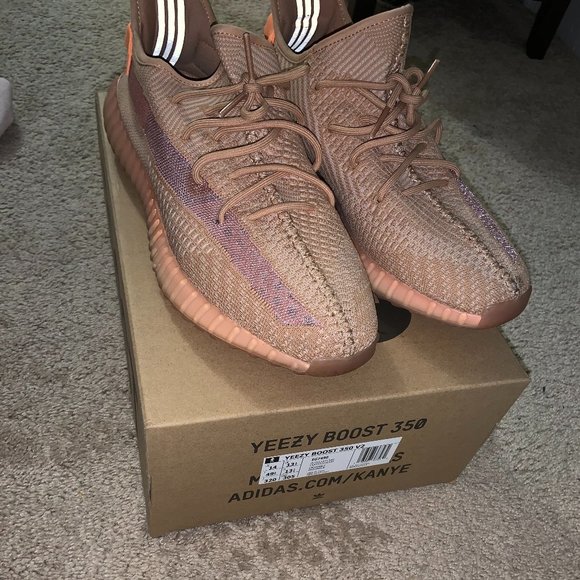 Meet your Posher, Riley - Picture 4 of 4